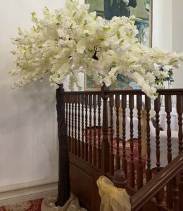 New-Decade-Blossom-Tree